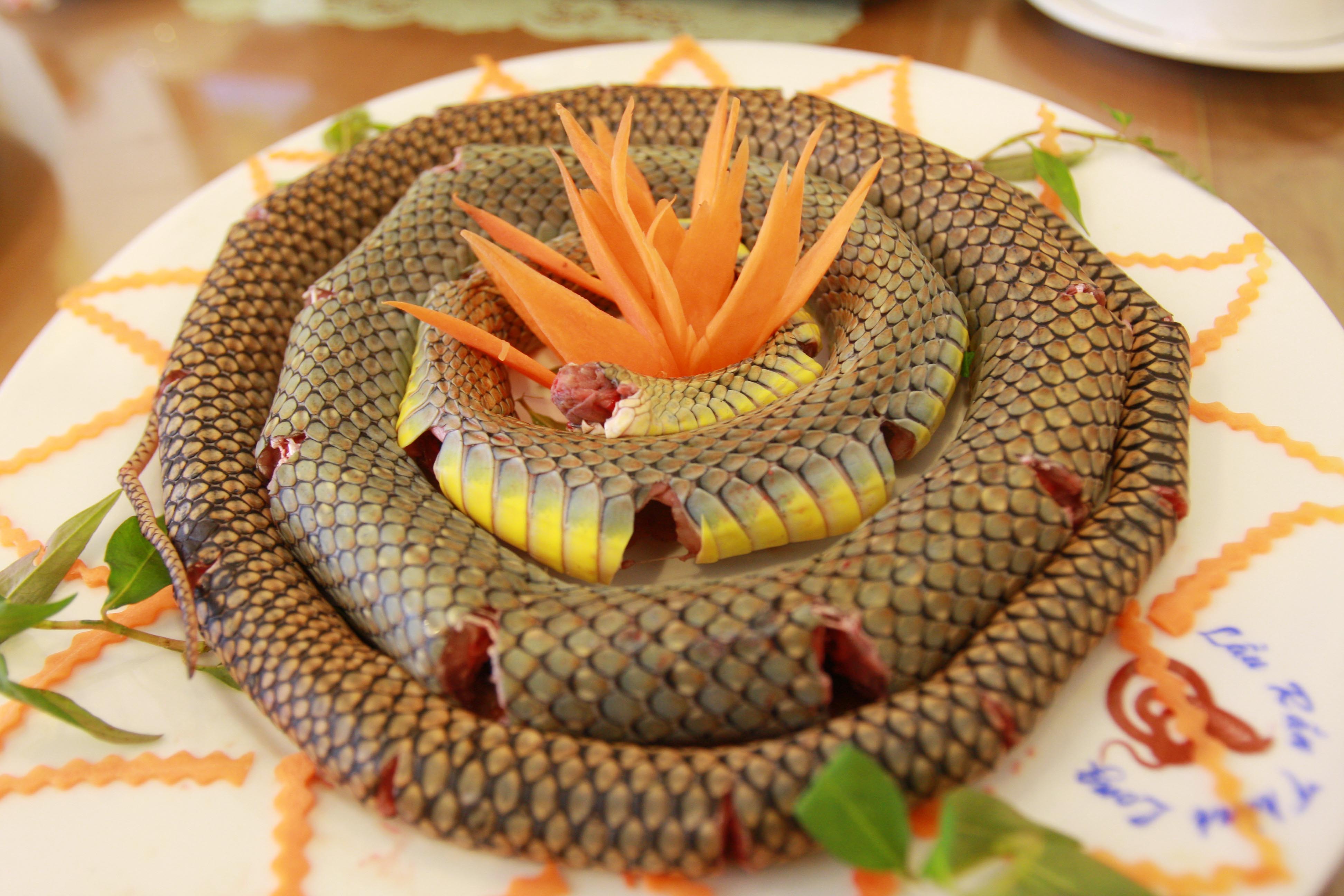 snake-meat.jpg